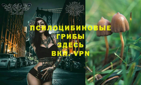 марки nbome Арсеньев