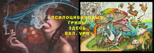 тгк Алексин