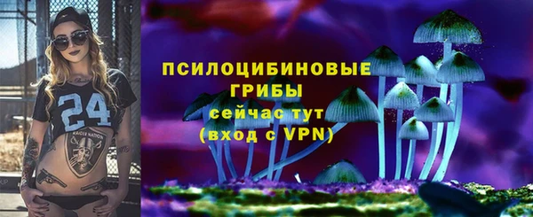 тгк Алексин
