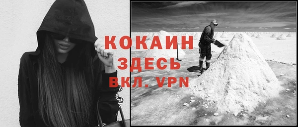 тгк Алексин
