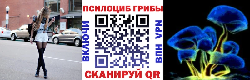 Псилоцибиновые грибы Cubensis  Таруса 